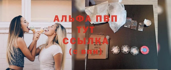 стаф Гусев