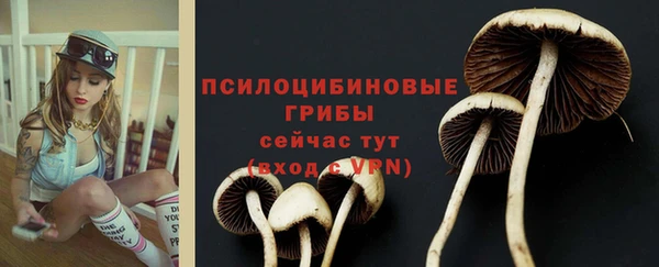 2c-b Елизово