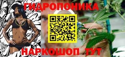 МДПВ Бийск