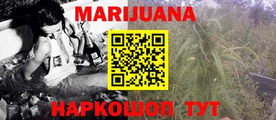 МДПВ Бийск