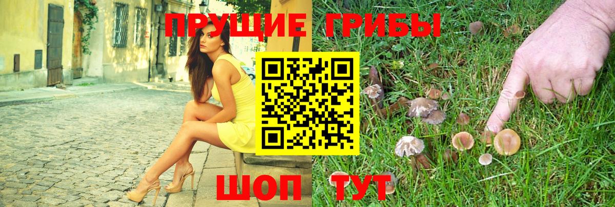 Псилоцибиновые грибы мухоморы  Вход с VPN  Петрозаводск 